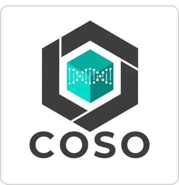 Risk-based governance and control
methodologies