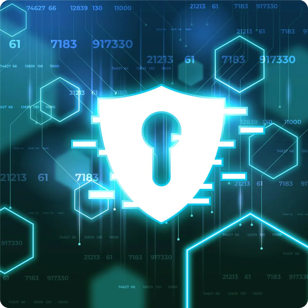 Privacy & Security Value